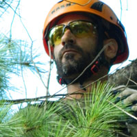Daniel Côté, Arboriculteur  Élagueur Grimpeur, Chateaugay Rive-Sud Montréal