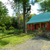 Daniel Côté, Arboriculteur  Élagueur Grimpeur, Chateaugay Rive-Sud Montréal